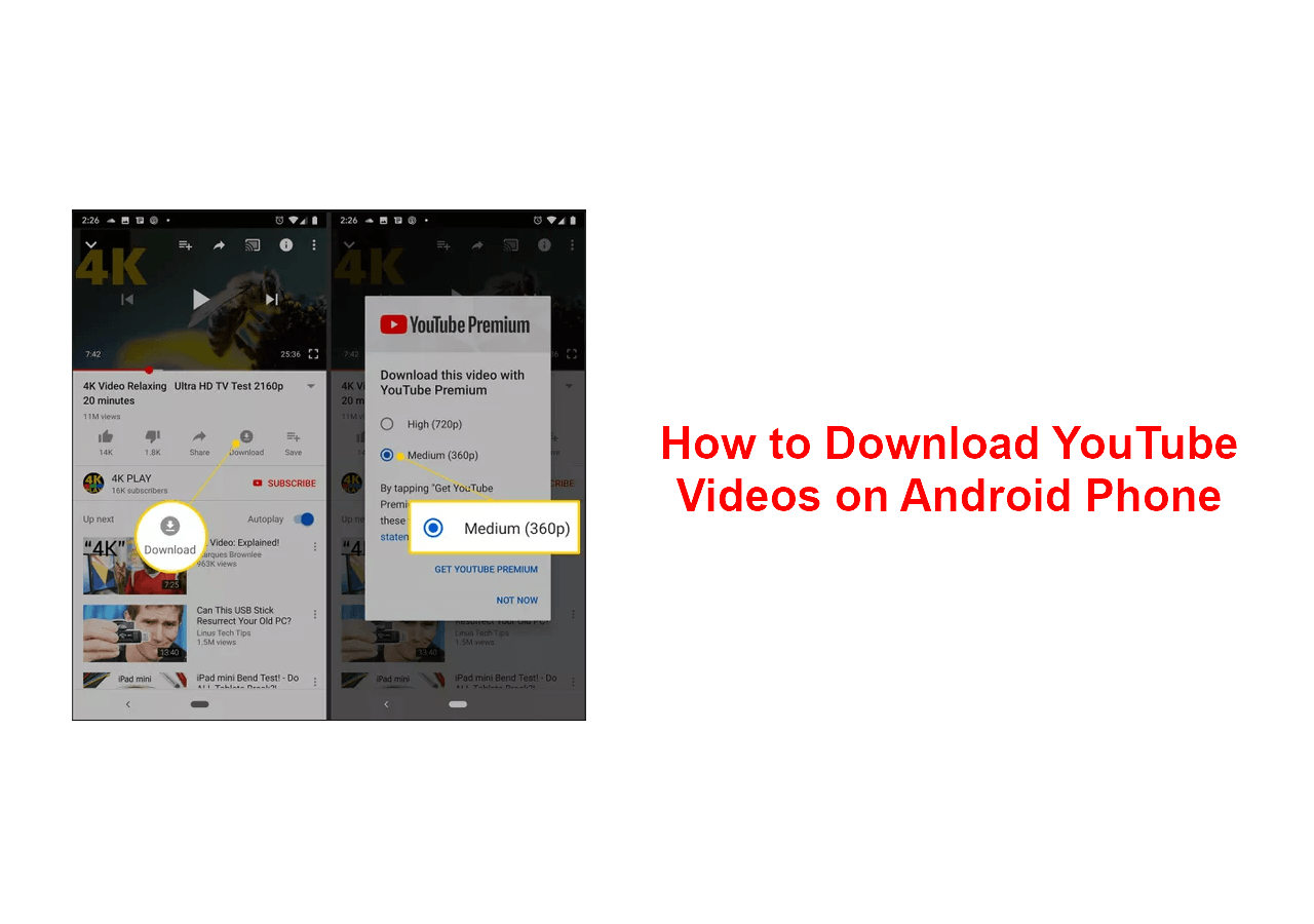 download video from youtube mac