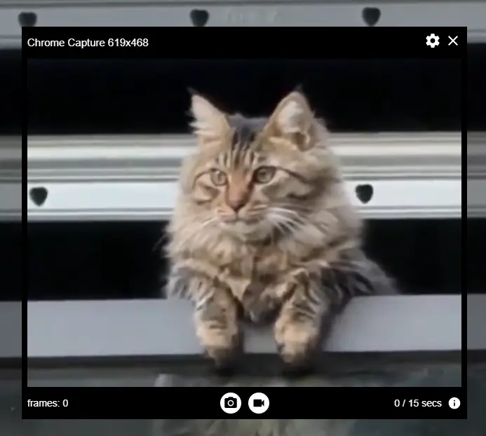 Make GIF from Twitter Video with Chrome Capture