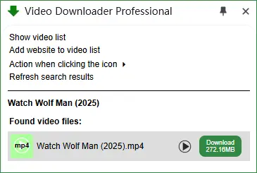 Download Goojara Movie with Video Downloader Professional