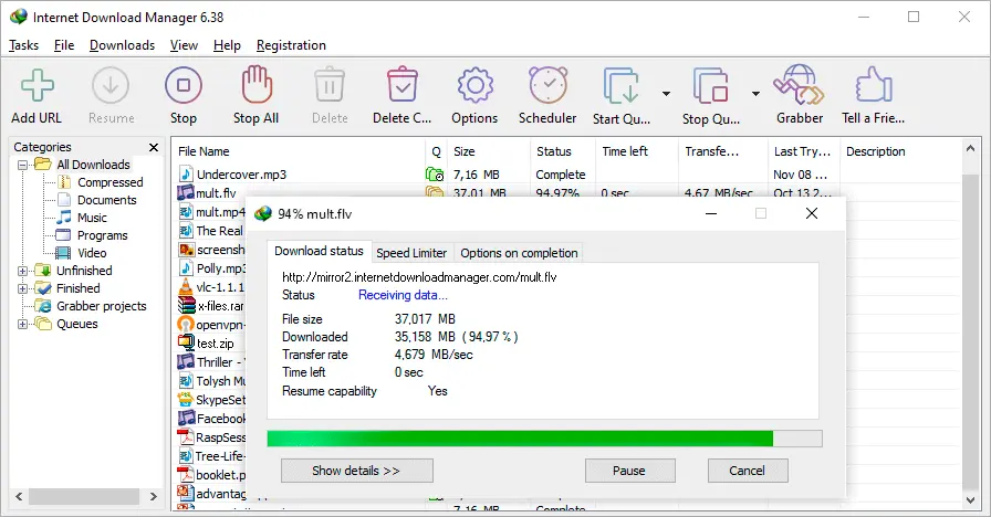 Internet Download Manager